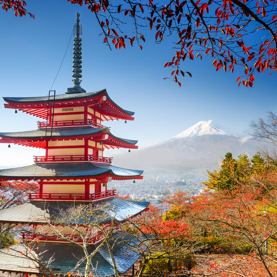 Exporter des vins et spiritueux au Japon